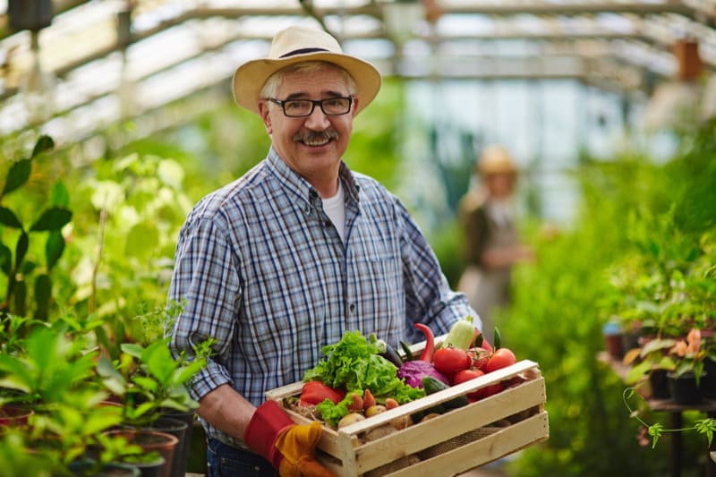 sécurité hygiène alimentaire producteur