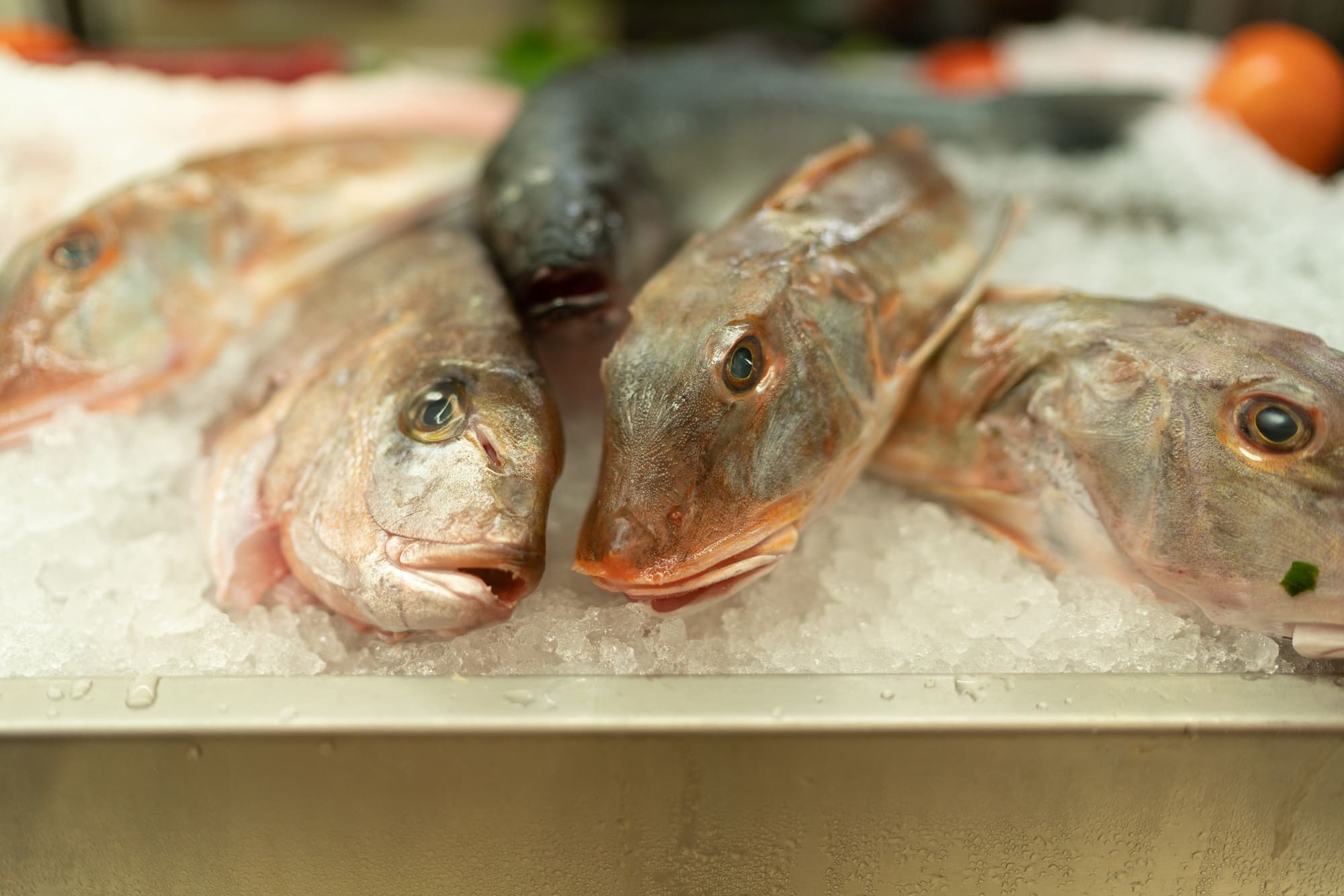 sécurité alimentaire hygiène aliment denrées Risque parasitaire poissons Gestion Bonnes pratiques restaurant traiteur