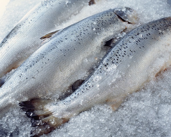 sécurité alimentaire hygiène aliment denrées Poissonnier Métiers bouche Secteurs activité restaurant traiteur